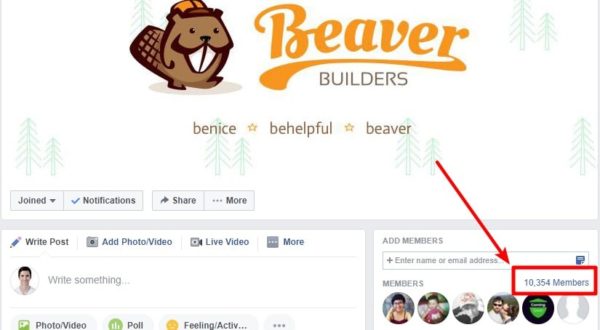 beaver-600x330