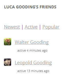 friends-widget Friends Widget