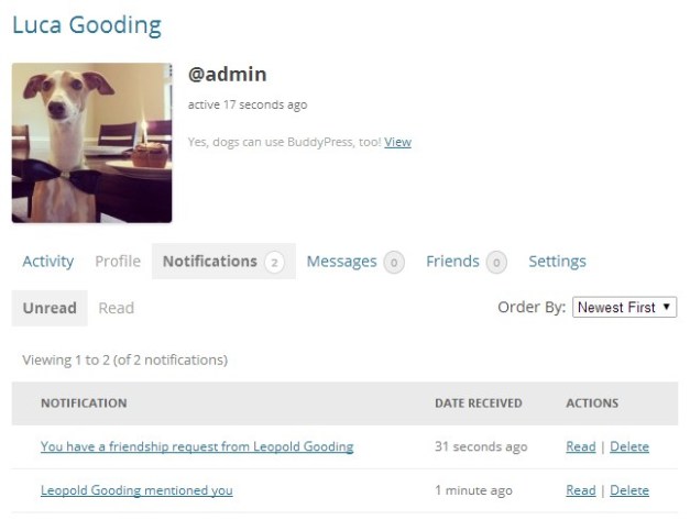 notifications-1 BuddyPress Notifications