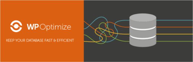 wp-optimize-plugin-e1554505636468 The WP-Optimize plugin.