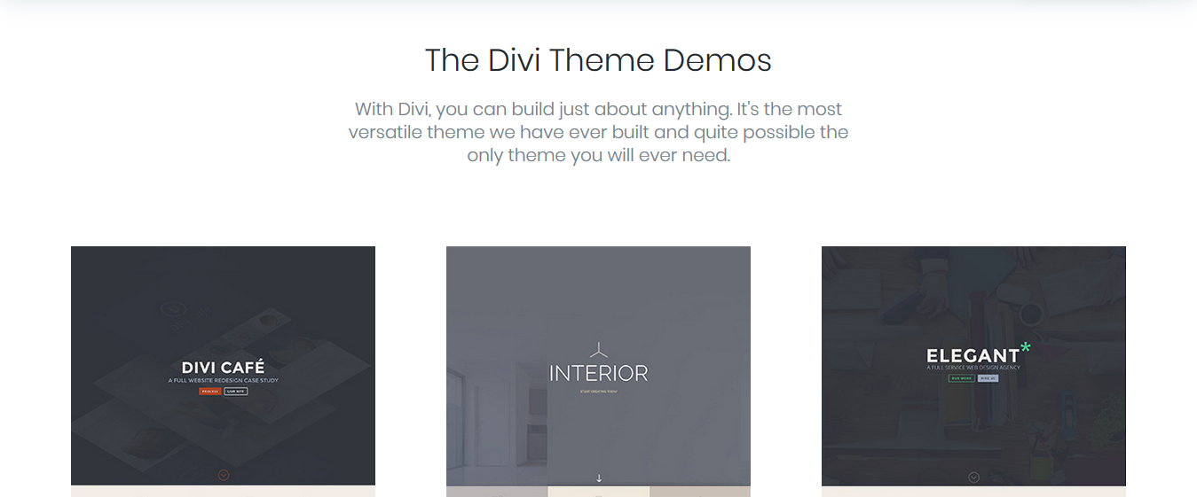 divi-skins