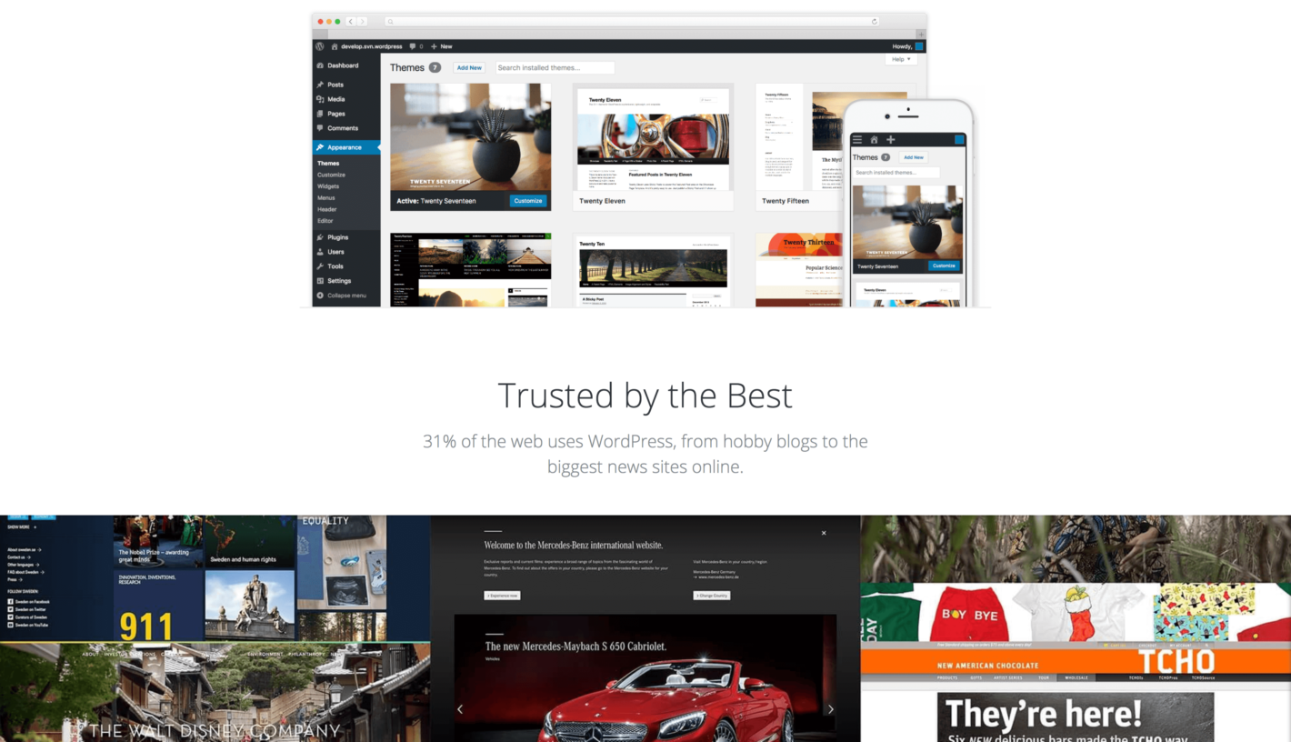 wordpress The WordPress website.