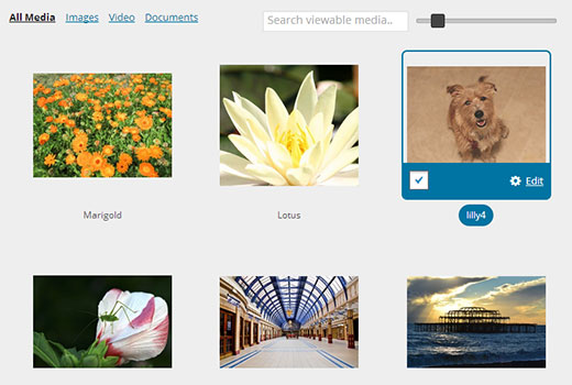 images-grid-media images-grid-media