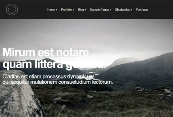 slick_theme-600x407-1 slick_theme