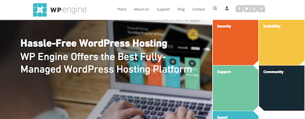 wp-engine-hosting wp-engine-hosting