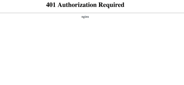 401_authorization_required-1-1-1-600x279-1