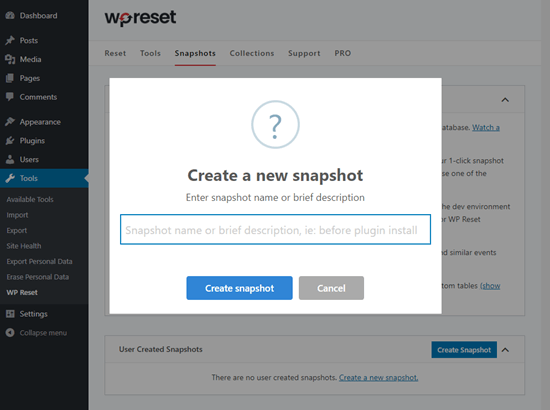 name-wp-reset-snapshot