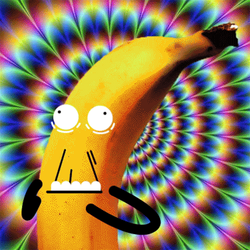 giphy-2