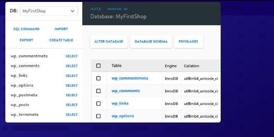 devkinsta-database-manager