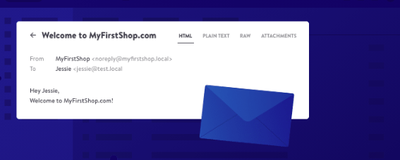 devkinsta-email