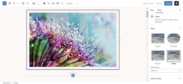 naledi-framed-image-600x278-1