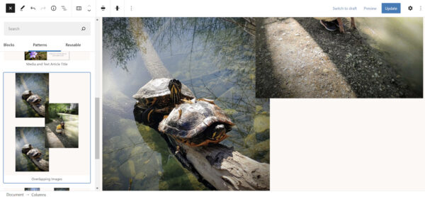naledi-overlapping-images-600x278-1