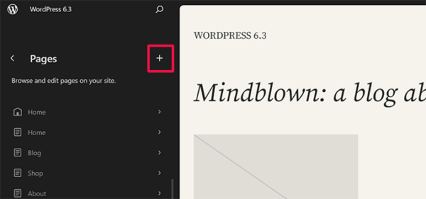 edit-create-pages-site-editror-600x281-1