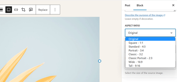 image-aspect-ratio-600x278-1